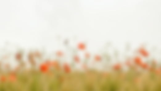 Telling the Vision Story